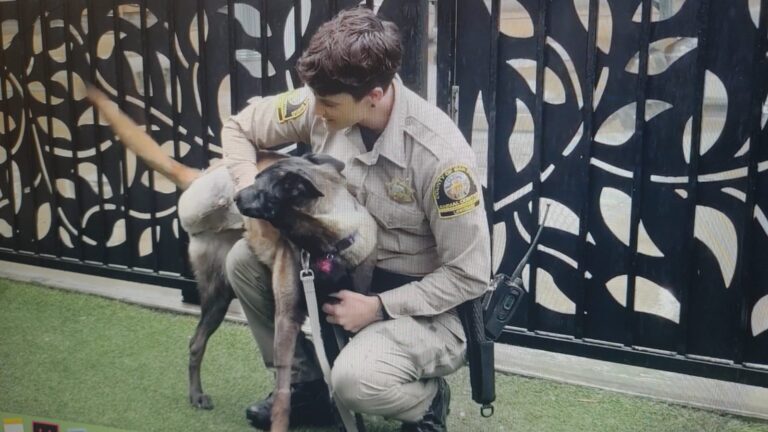 Eagle retoma “su vuelo”  