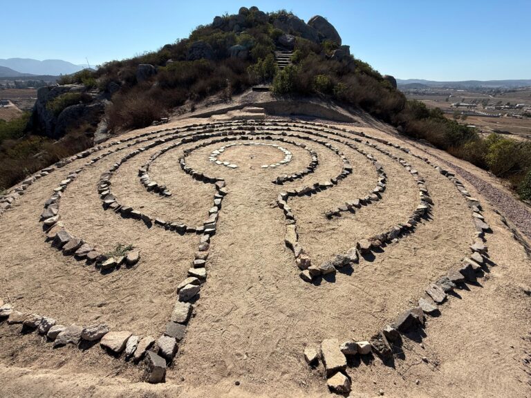 Ruta Wellness entre viñedos